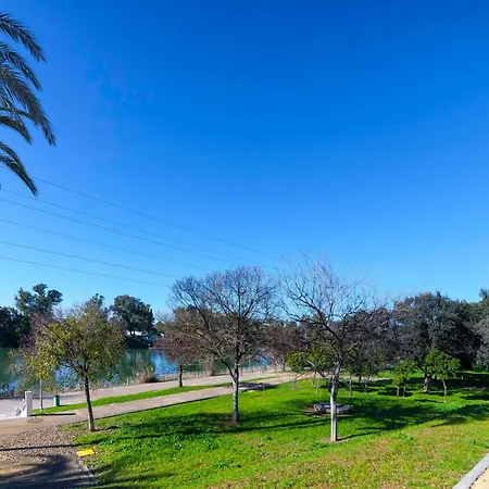 Apartment Sje - Shiny Close To The River *